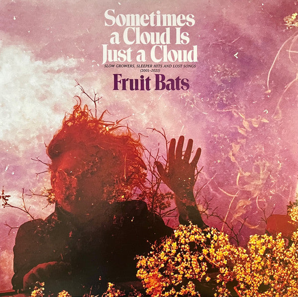 Sometimes A Cloud Is Just A Cloud: Slow Growers, Sleeper Hits, And Lost Songs (2001-2021) [2LP, Pink & Violet Swirl]