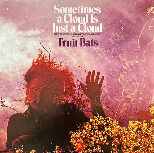 Sometimes A Cloud Is Just A Cloud: Slow Growers, Sleeper Hits, And Lost Songs (2001-2021) [2LP, Pink & Violet Swirl]