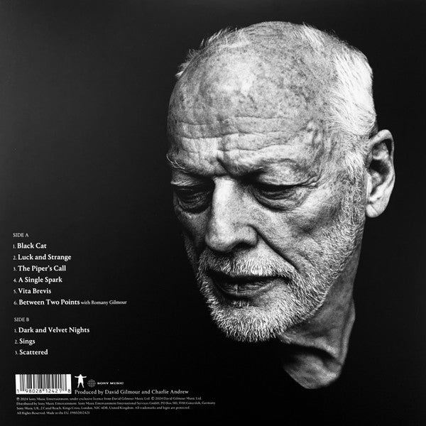 David Gilmour - Luck And Strange