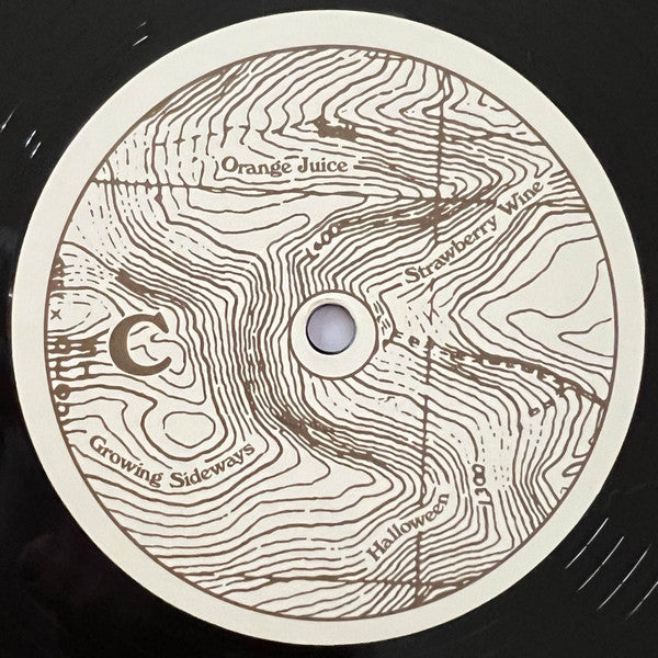 Noah Kahan - Stick Season (We’ll All Be Here Forever)