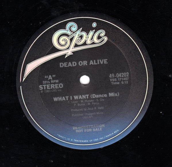 Dead Or Alive - What I Want