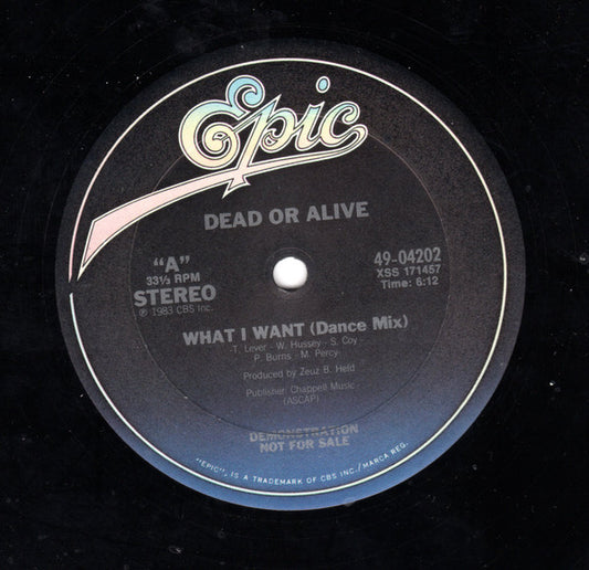 Dead Or Alive - What I Want