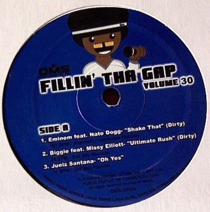 Various - Fillin' Tha Gap Volume 30