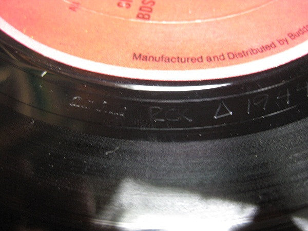 The James Cotton Band - 100% Cotton