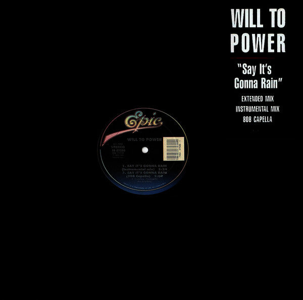 Will To Power - Say It's Gonna Rain