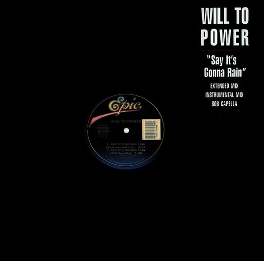 Will To Power - Say It's Gonna Rain