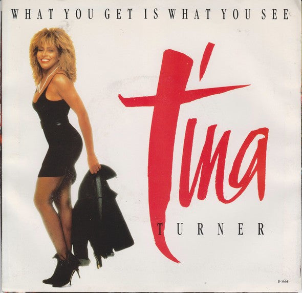 Tina Turner - What You Get Is What You See
