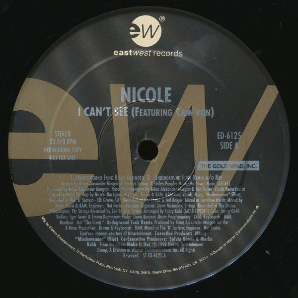 Nicole Wray - I Can't See