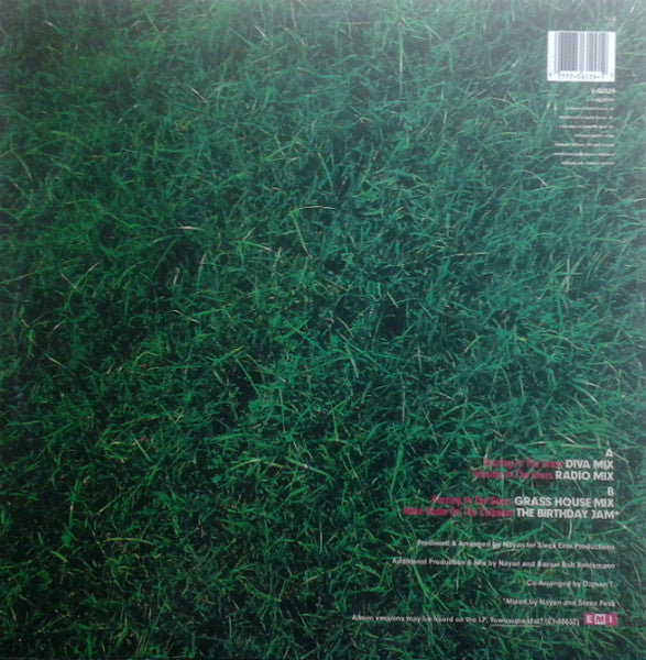 cc: DIVA - Grazing In The Grass