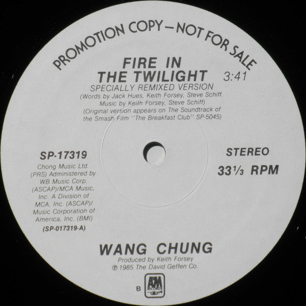 Wang Chung - Fire In The Twilight / Didn't I Tell You