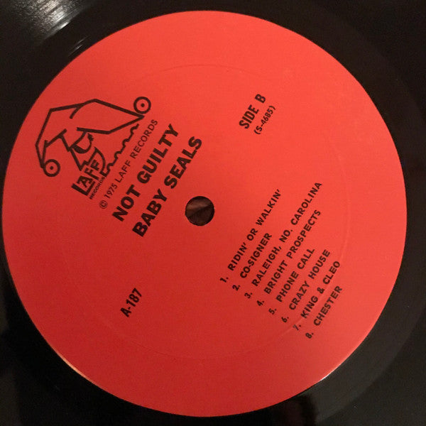 Baby Seal's - Not Guilty