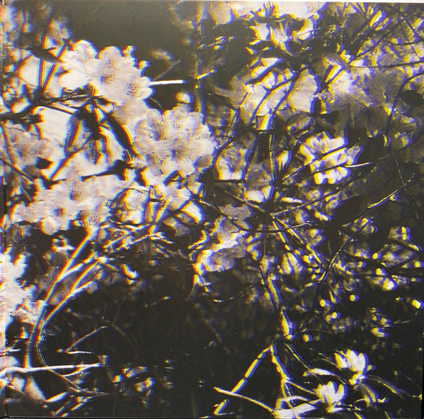 Ben Howard (2) - I Forget Where We Were
