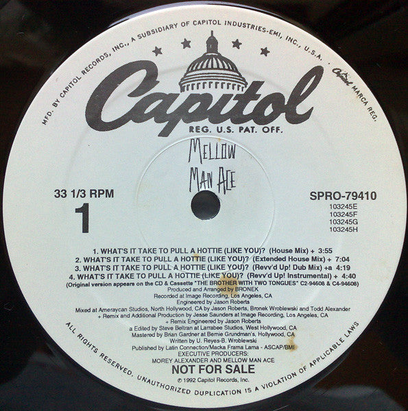 Mellow Man Ace - What's It Take To Pull A Hottie (Like You)?