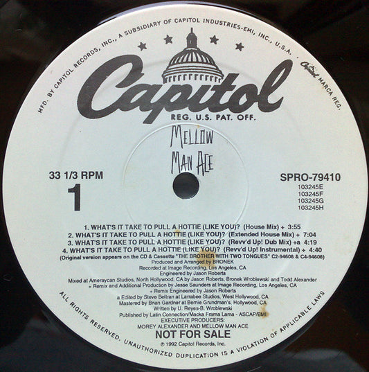 Mellow Man Ace - What's It Take To Pull A Hottie (Like You)?