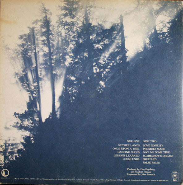 Dan Fogelberg - Nether Lands