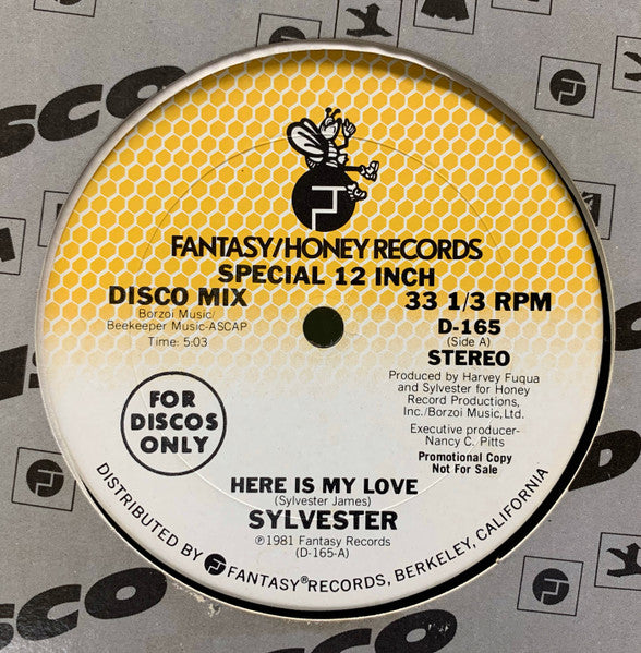 Sylvester - Here Is My Love