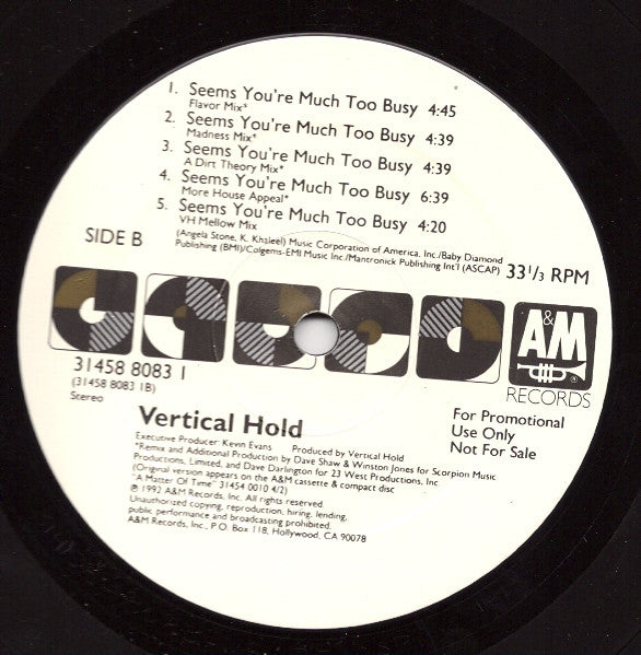 Vertical Hold - Seems You're Much Too Busy