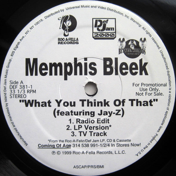 Memphis Bleek - What You Think Of That