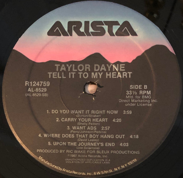 Taylor Dayne - Tell It To My Heart