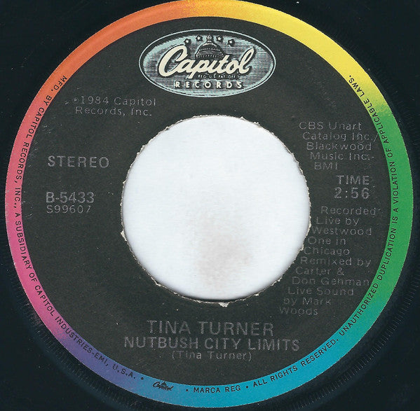 Tina Turner - Private Dancer / Nutbush City Limits