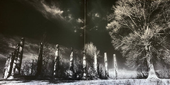 Exploding Trees & Airplane Screams