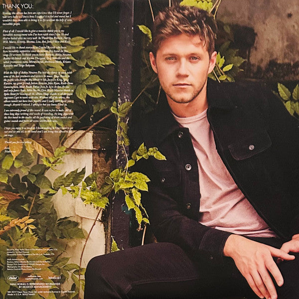 Niall Horan - Flicker