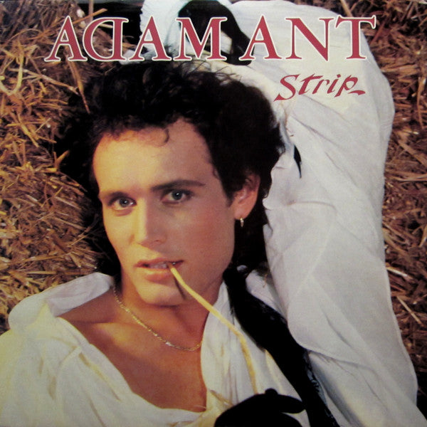 Adam Ant - Strip