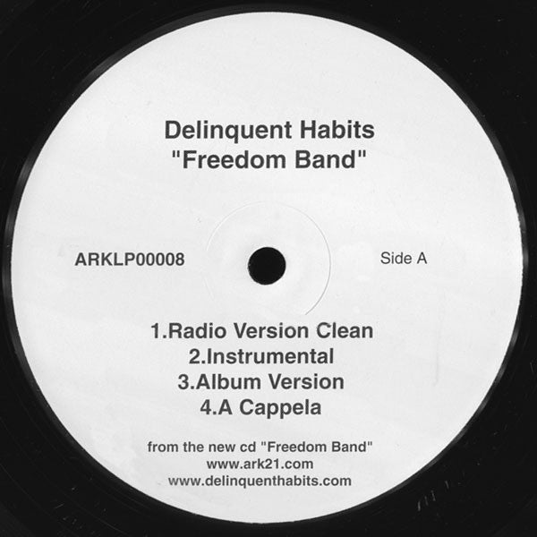 Delinquent Habits - Freedom Band
