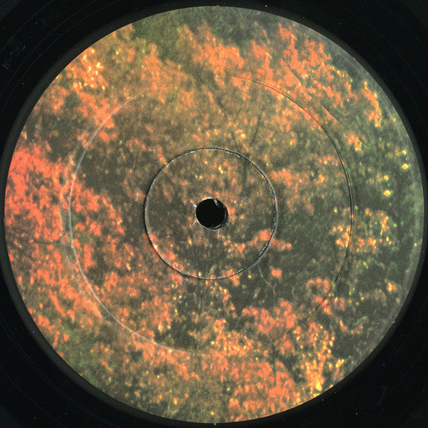 Tame Impala - Innerspeaker