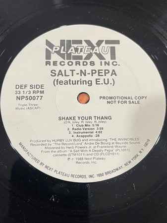 Salt 'N' Pepa - Shake Your Thang / Spinderella's Not A Fella (But A Girl DJ)