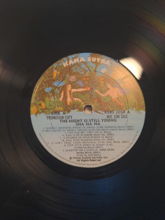 Sha Na Na - The Night Is Still Young