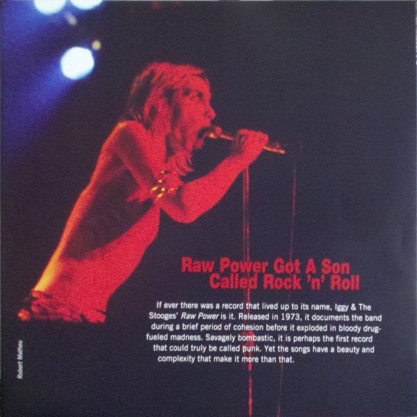 The Stooges - Raw Power