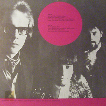 The Pigeons (2) - While The World Was Eating Vanilla Fudge