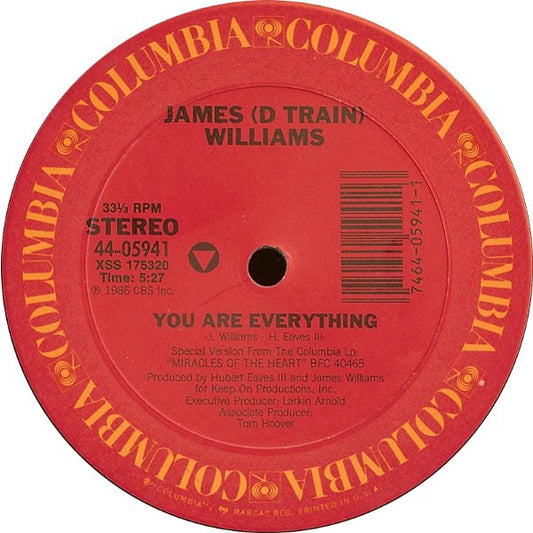 James "D-Train" Williams - You Are Everything