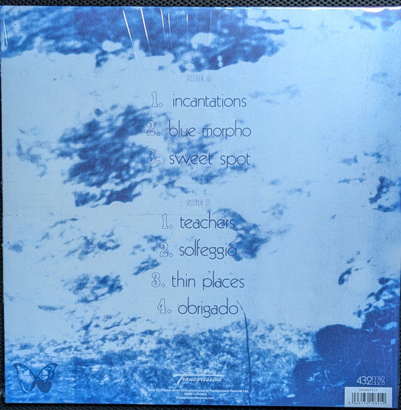 Ed O'Brien - Blue Morpho