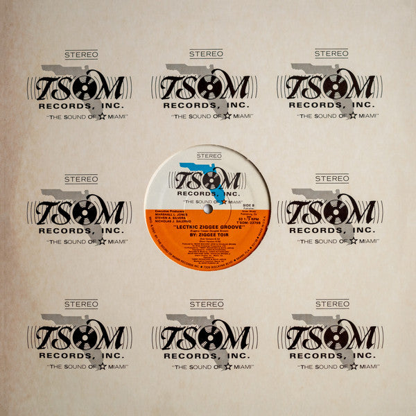 Lectric Ziggee Groove