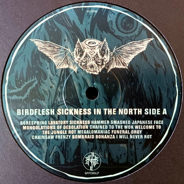 Birdflesh - Sickness In The North