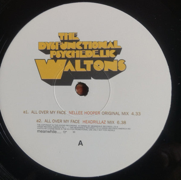 The Dysfunctional Psychedelic Waltons - All Over My Face