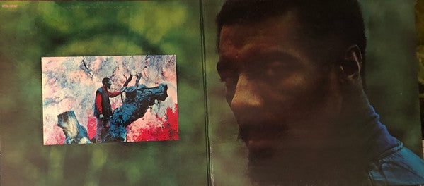 Richie Havens - Richard P. Havens 1983