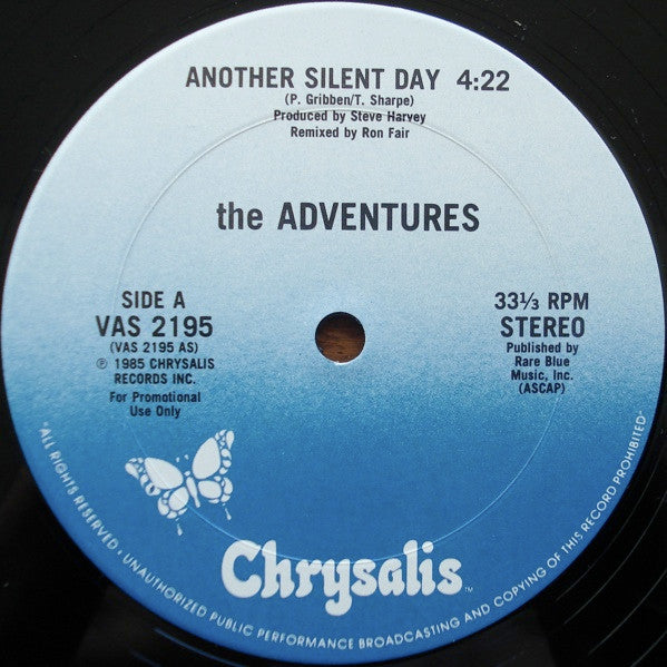 The Adventures - Another Silent Day