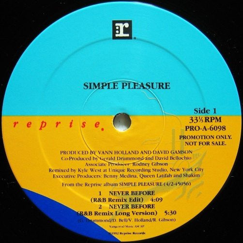 Simple Pleasure - Never Before