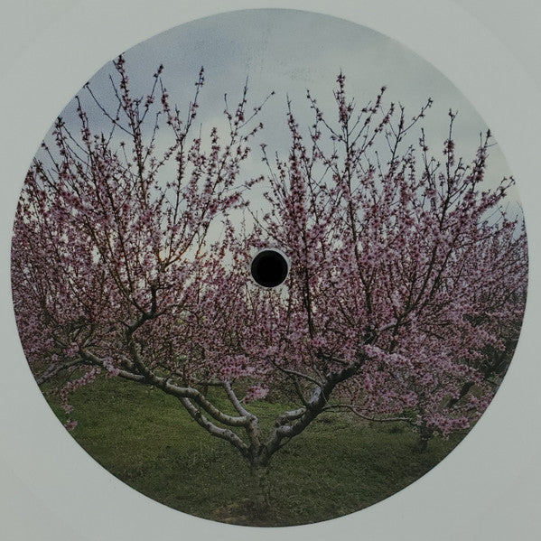 Washed Out - Within And Without