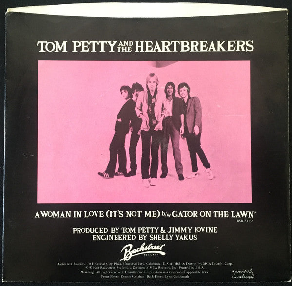 Tom Petty And The Heartbreakers - A Woman In Love (It's Not Me)