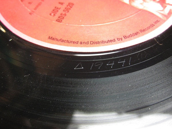 The James Cotton Band - 100% Cotton