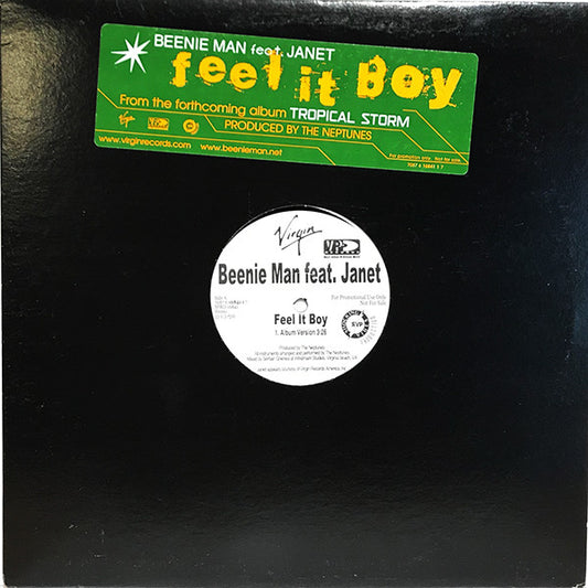 Beenie Man - Feel It Boy