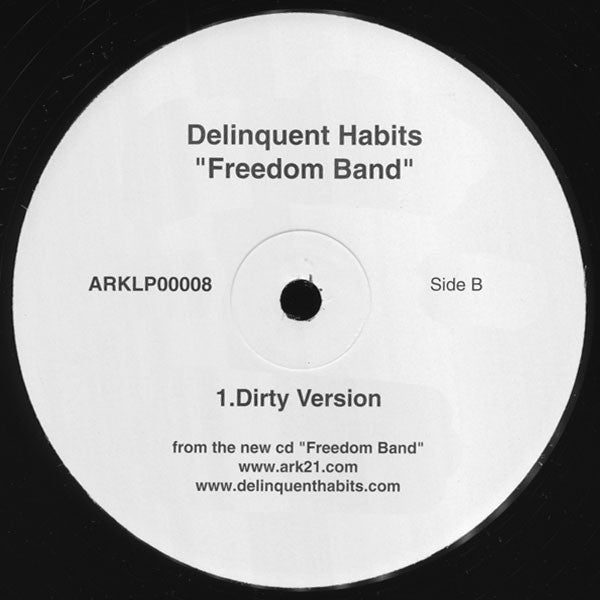 Delinquent Habits - Freedom Band
