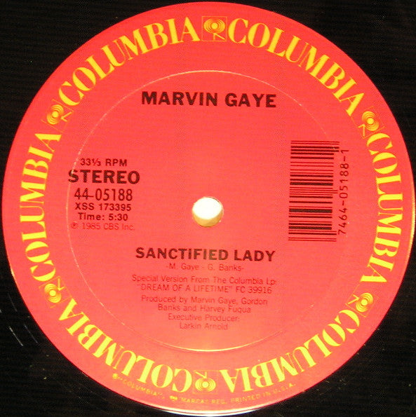 Marvin Gaye - Sanctified Lady
