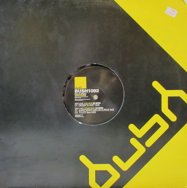 Simon Digby - Tribal Theory