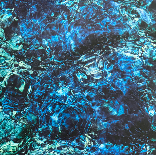 Aoba Ichiko - Luminescent Creatures