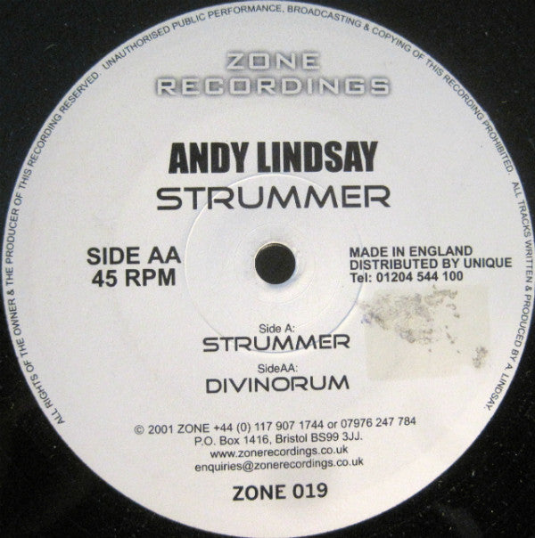 Andy Lindsay - Strummer / Divinorum